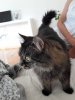 20180527_174309.jpg