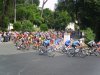 S8001349.JPG S8001349.JPG
