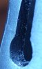 Ingrandimento001.JPG