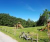 20180602_083603.jpg