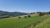 20180602_094841.jpg