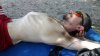 IMG-20180609-WA0004.jpeg IMG-20180609-WA0004.jpeg