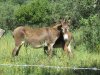 IMG_0355.JPG