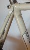 Colnago Sport Campgnolo 980 102 ridotto.jpg Colnago Sport Campgnolo 980 102 ridotto.jpg