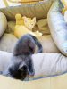 IMG-20180619-WA0004.jpg