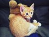 IMG-20180619-WA0008.jpg