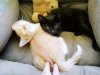 IMG-20180619-WA0009.jpg