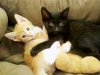 IMG-20180616-WA0007.jpg