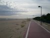20180625_074742.jpeg 20180625_074742.jpeg