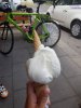 20180715_135638.jpeg
