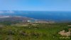P_20180709_124534_1_p.jpg P_20180709_124534_1_p.jpg