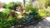 P_20180628_154147_1_HDR_p.jpg P_20180628_154147_1_HDR_p.jpg