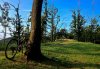 IMG_20180726_064633.jpeg IMG_20180726_064633.jpeg