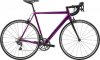 CAAD12 ULTEGRA 2019.jpg