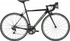 CAAD12 WOMEN’S 105 2019.jpg
