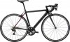 SUPERSIX EVO CARBON WOMEN’S 105 2019.jpg