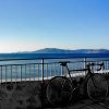 IMG_20180812_093059_669.jpg