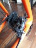20180825_172144.jpeg