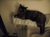 IMG_20170201_204958.jpeg