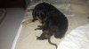 20180823_001044.jpeg
