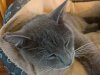 WP_20180901_13_49_59_Rich.jpg