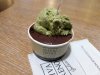 20180914_163245.jpeg