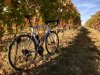 IMG_20180916_101755_665.jpg