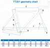 TT201-geometry.jpg