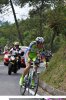 BASSO3.jpg