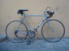 Atala 010.JPG Atala 010.JPG