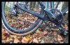 IMG_20181027_142519_359.jpg