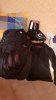 20181105_194053.jpeg