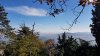 20181110_094650.jpg