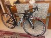 IMG_20181115_005529.jpeg