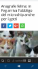 wp_ss_20181115_0006.png
