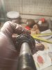 20181118_172346.jpg