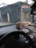 IMG_20180806_202337.jpg
