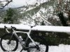 cipo neve.jpg cipo neve.jpg