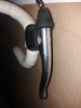 20181208_093431.jpg