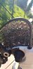 20181208_134003_resized.jpg