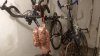 bicisalumi.jpg bicisalumi.jpg
