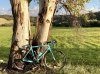 B7D0380E-DB03-48DD-9E08-E672619795D1.jpeg