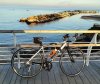 IMG_20181231_173526.jpeg IMG_20181231_173526.jpeg