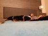 IMG-20190102-WA0010.jpeg
