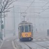 nebbia.jpg