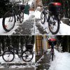 IMG_20190116_173110.jpeg
