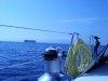 DSCF1071.JPG