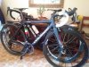 20190129_120748_Burst01.jpg