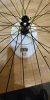 IMG_20190129_165927.jpeg