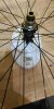 IMG_20190129_170057.jpeg